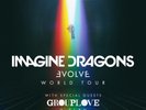 Place concert Imagine Dragons Evolve World Tour (Accorhotel Arena 22/02) FOSSE