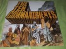 RARE SALAMANDER - THE TEN COMMANDMENTS LP YOUNG BLOOD RECORDS 1971 EXCELLENT ++