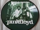 Pink Floyd Flowers & Vegetables Picture Disc LP *VERY RARE* *STUNNING*