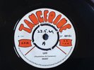MINT -LUV rare UK 1969 / MOD PSYCH / DAVID BOWIE RELATED / TANGERINE /NEAR MINT