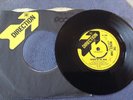 THE MICKEY FINN -GARDEN OF MY MIND rare UK 1967 / MOD / FREAKBEAT / NEAR MINT