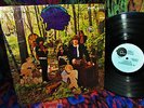 1968 M- SHRINK  = FUZZ PSYCH = THE LITTLE BOY BLUES   WOODLAND OF BLUES GARAGE