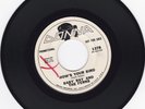 VERY RARE FRANK ZAPPA 45 - BABY RAY AND THE FERNS - HOW'S YOUR BIRD - PROMO VG+