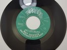Holly #2513 Walt Cochran Don't lock the door/ I Already Know VG+