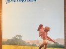 Morning Dew Roulette OG vinyl LP German 1971 pressing NM ALL AROUND psych