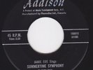 Teen Rocker / Group 45- JAMIE COE - Summertime Symphony / There's Gonna be A Day