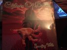 Children Of Bodom - Something Wild RED VINYL LP No. 077