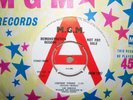 LOU CHRISTIE,  LIGHTNIN' STRIKES,  MGM RECORDS DEMO 1965  MINT-