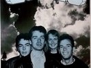 CHILLS, THE - 1987 - Tourplakat - Concert - Brave Words - Tourposter