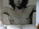the very best of the doors double LP records