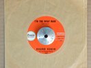 GARAGE 45 - ROUND ROBIN - I'M THE WOLF MAN /SIT AND DANCE Domain RARE VG++ Hear