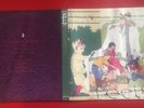 Animal Collective - FEELS Vinyl 2xLP FatCat RECORD 2005 gatefold edition RARE