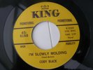 CODY BLACK - I,M SLOWLY MOLDING
