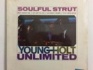SEALED YOUNG HOLT UNLIMITED LP, Soulful Strut (BRUNSWICK ORIG US ISSUE