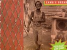 Sylford Walker ?- Lamb's Bread Vinyl LP - NEW - King Tubby Glen Brown Reggae