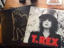 T.Rex - Electric warrior And Slider Vinyl Albums