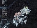 Deafheaven-New Bermuda  Vinyl / 12