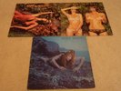 ROXY MUSIC - Stranded/Country Life/Siren - 3 x LP BUNDLE - VG - SALE PRICE