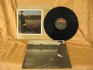 Tears For Fears- The Hurting- 1983 Vinyl LP- watching ducks cover