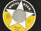 ROCKABILLY bw TITTYSHAKER INSTRO- CAPS-  WHO IN THE HECK  -HEAR -1960 WHITE STAR