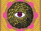 THE BEGINNER'S MYND Don't Lose Your Mind vinyl LP + MP3 NEW garage punk psych