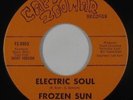 Psych Fuzz Funk 45 - Frozen Sun - Electric Soul - Capt. Zoomar - VG++ mp3 rare