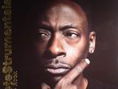 ROCK, Pete - Petestrumentals 2 - Vinyl (gatefold 2xLP + MP3 download code)