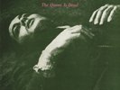 The Smiths-The Queen Is Dead  (UK IMPORT)  Vinyl / 12