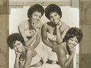 The Shirelles - Forever (LP) - Vinyl Rock & Roll