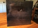 JOHN ZORN: Naked City, Elektra Records, Europe, SEALED LP