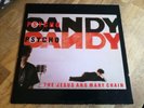 Jesus and Mary chain LP Psychocandy 1985 WEA 1st Press BEAUTIFUL VINYL +++++++