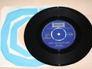 THE FLIES - I'M NOT YOUR STEPPING STONE. VERY RARE 7