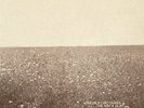 The Ash & Clay [VINYL - BRAND NEW] by The Milk Carton Kids