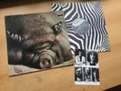 KIN PING MEH NO. 2 GERMAN ORIGINAL ZEBRA PRESS in 1972 TOP KRAUT PROGROCK