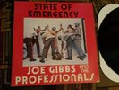 JOE GIBBS AND THE PROFESSONALS 