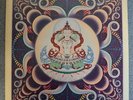 TERRY RILEY Shri Camel Electronic Minimal CBS 1980 NMint