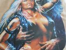 Warlock Vinyl lp Triumph and Agony picture disc and standee very rare