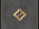 Foo Fighters - Concrete And Gold - 2 Vinili