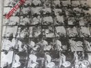 Stiff Little Fingers – Suspect Device – 2nd on Rigid Digits 7