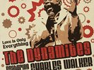 DYNAMITES FEAT. CHARLES WALKER-Love Is Only Everything (LP)  VINYL NEW