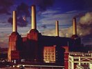 PINK FLOYD ANIMALS REMASTERED LP 180g NEW VINYL FAST SHIP