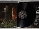 Grave -  Into The Grave 1991 Original Century Media DE   OIS