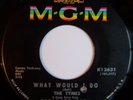 The Tymes   What Would I Do   MGM