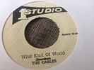Cables What Kind Of World Coxsone Jamaican 7