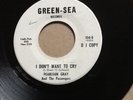 pearlean gray I don't want to cry first issue US Green- sea Demo