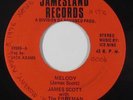 70s Soul 45 - James Scott - Melody - Jamesland - VG++ mp3 - obscure