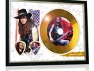 Cliff Burton Metallica Flag Style Signed Gold Disc Display