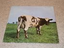 Pink Floyd - Atom Heart Mother Vinyl LP SHVL 781