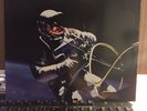 AFGHAN WHIGS 1965 LP WITH INSERT SONY MUSIC/COLUMBIA RECORDS 