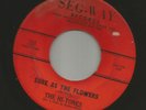 DOOWOP R&B bw/ JUMP- HI- TONES  - SURE AS THE FLOWERS -HEAR BOTH 1961 SEG-WAY